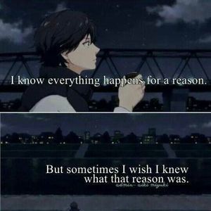 Meet your Posher, Carlos